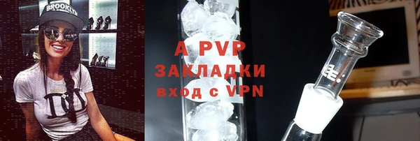 твердый Бородино