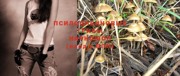 твердый Бородино