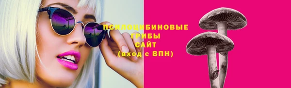 твердый Бородино