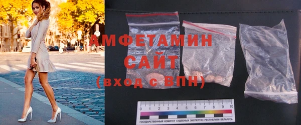твердый Бородино